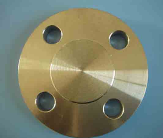 Beryllium Copper Alloy Blind Flanges