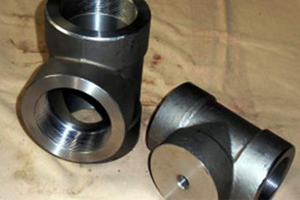 Stainless Steel 304L Forged Fittings