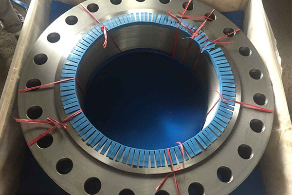 Stainless Steel 316 Flanges